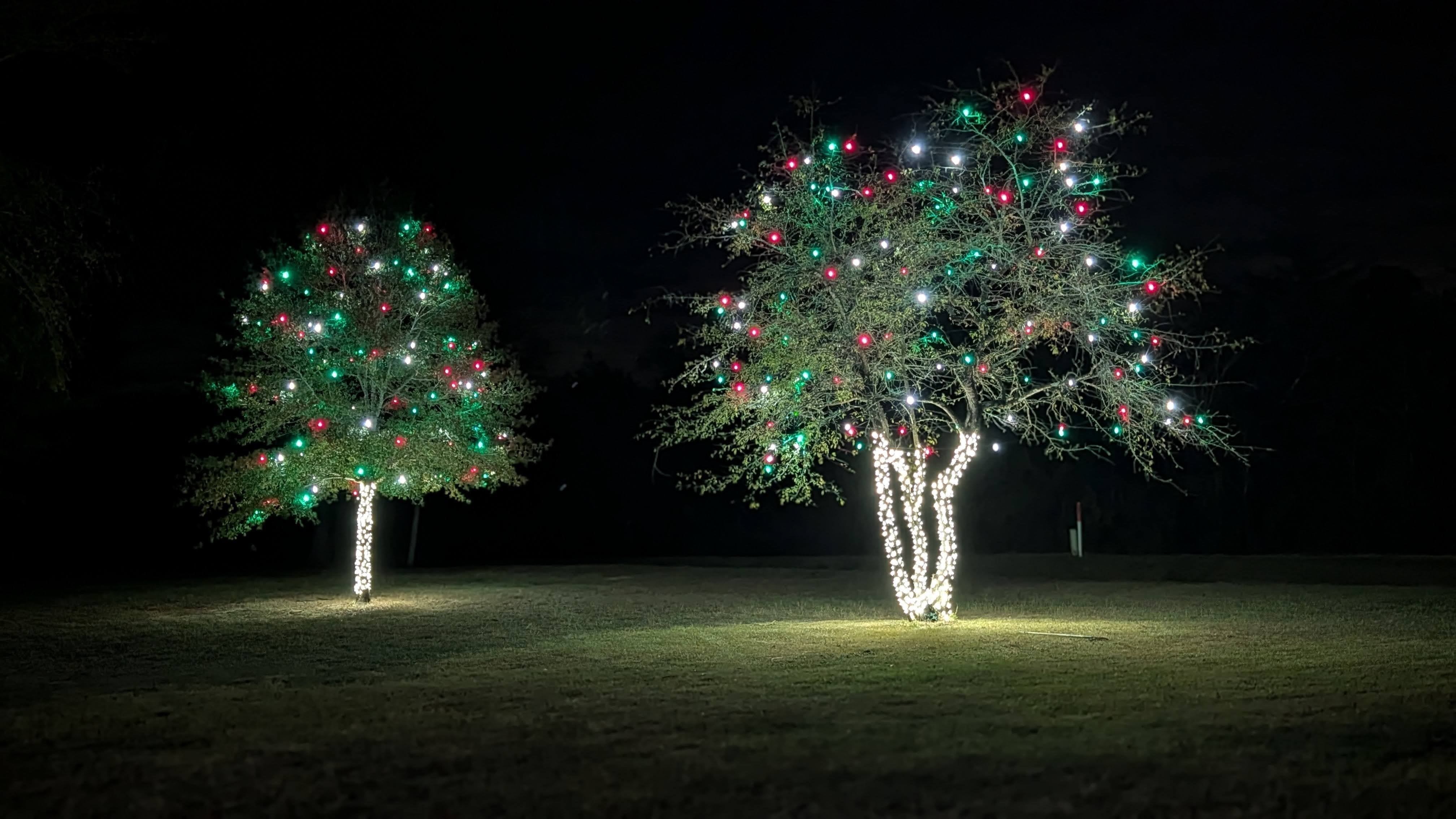 🎄 Recognized as the #1 Christmas Light Distribution Company in Houston, Texas