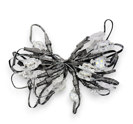 24V InvisiLights LED Lights