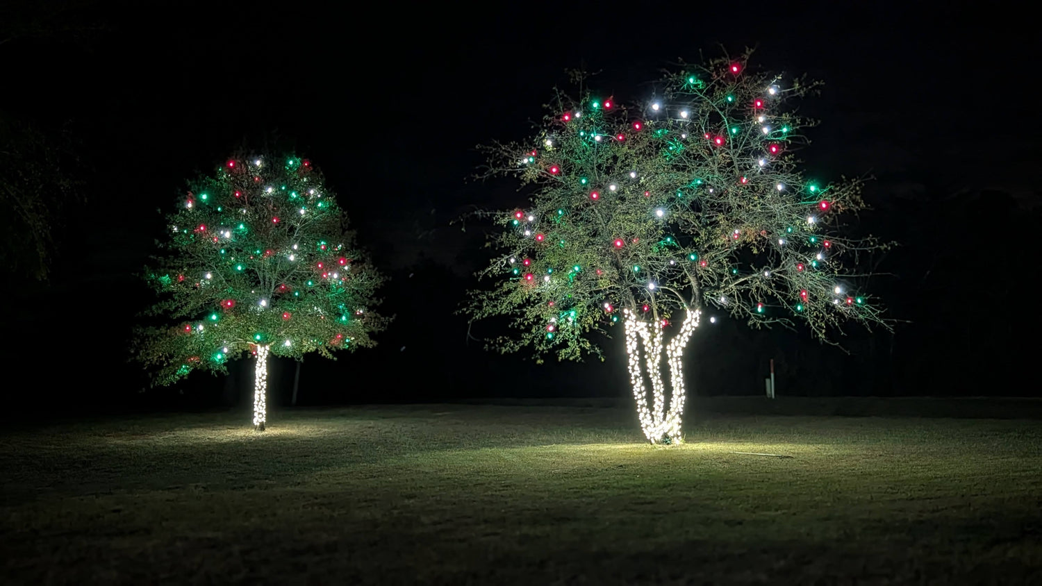 🎄 Recognized as the #1 Christmas Light Distribution Company in Houston, Texas