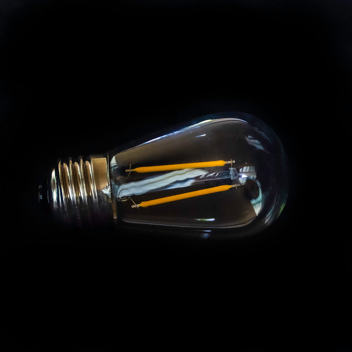 Holidynamics G50 & Edison LED Bulbs — Pack of 25