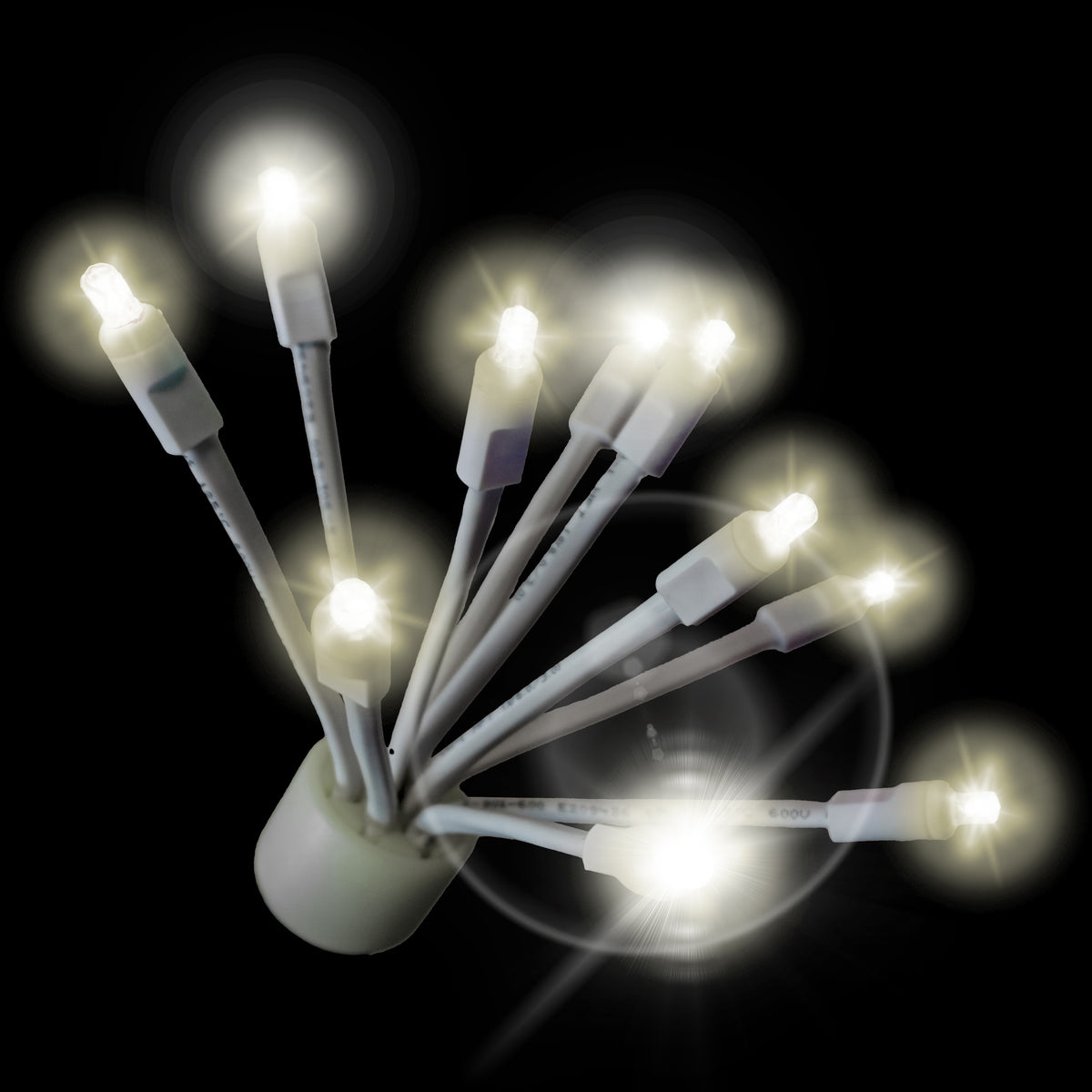 Holidynamics C9 Twinkle Glitzers with White Base — Case of 100