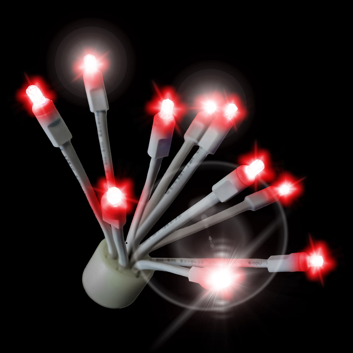 Holidynamics C9 Twinkle Glitzers with White Base — Case of 100