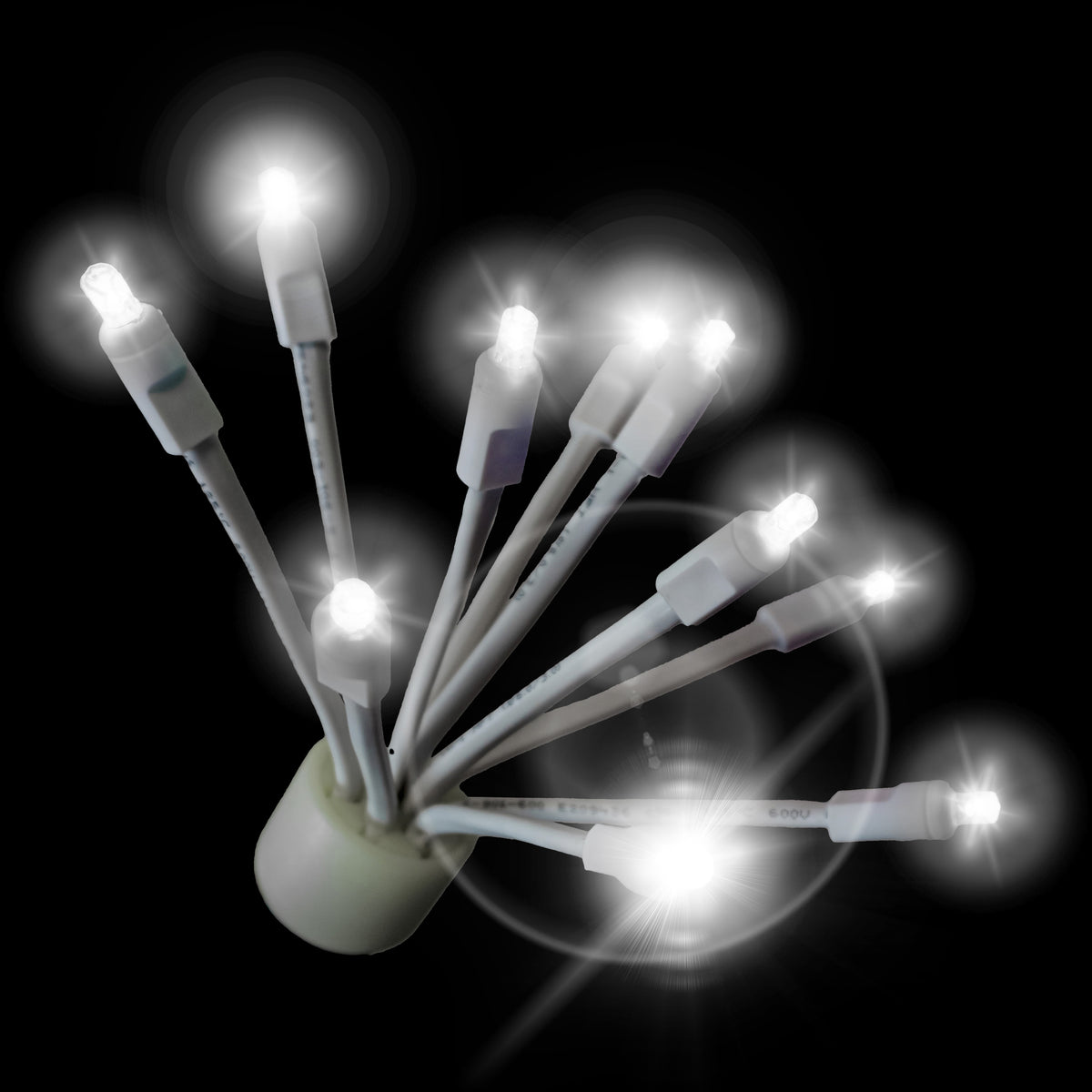 Holidynamics C9 Twinkle Glitzers with White Base — Case of 100