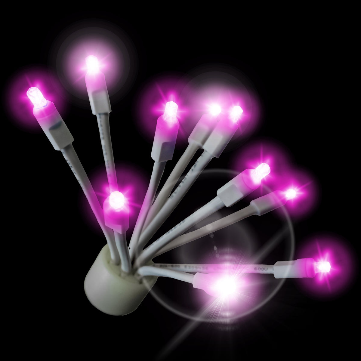 Holidynamics C9 Twinkle Glitzers with White Base — Case of 100