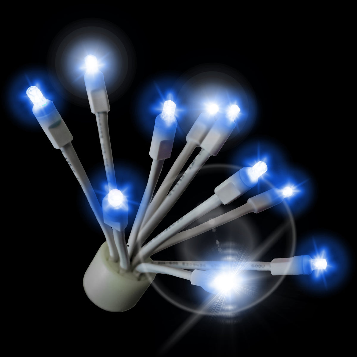 Holidynamics C9 Twinkle Glitzers with White Base — Case of 100