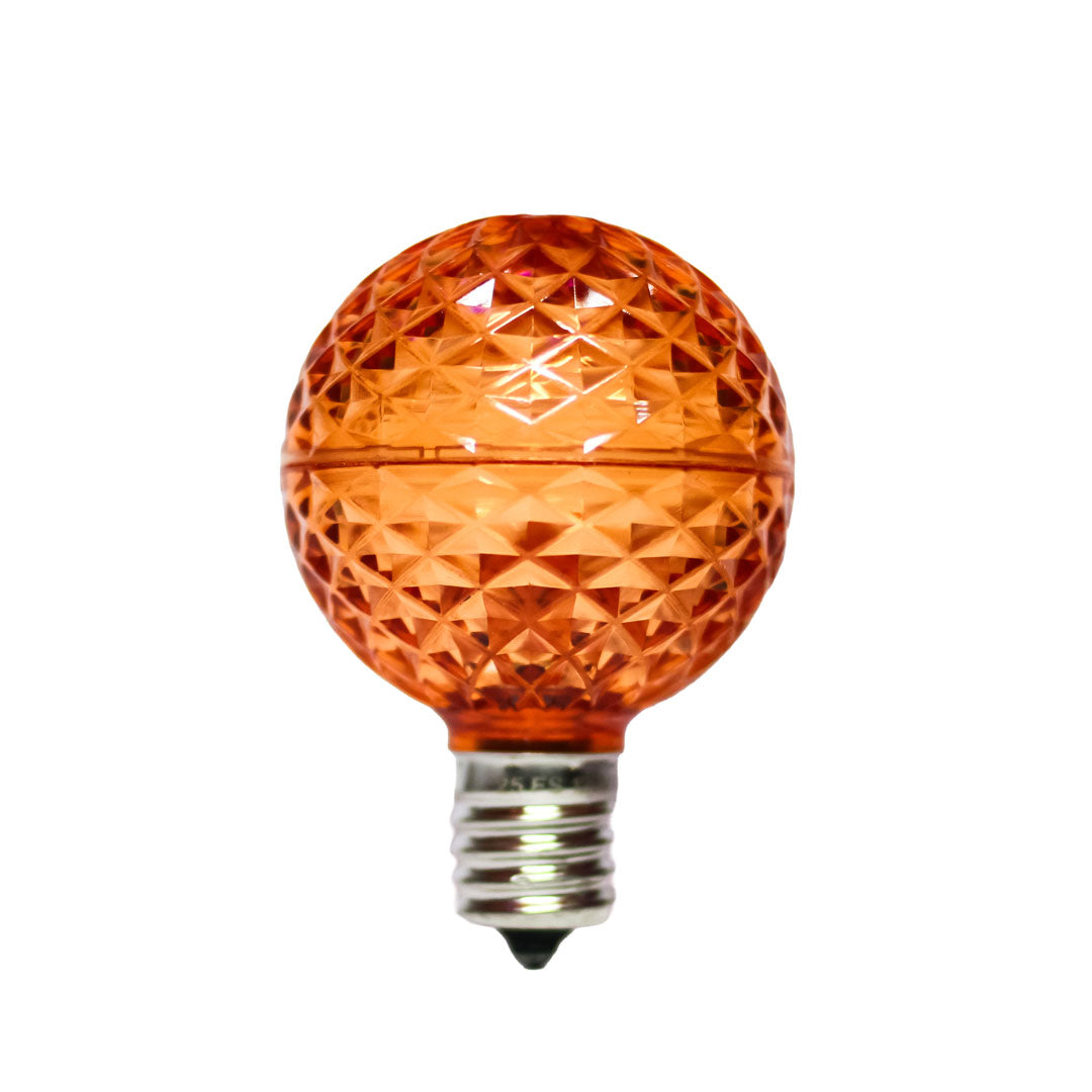 Holidynamics G50, S14 & Edison LED Bulbs