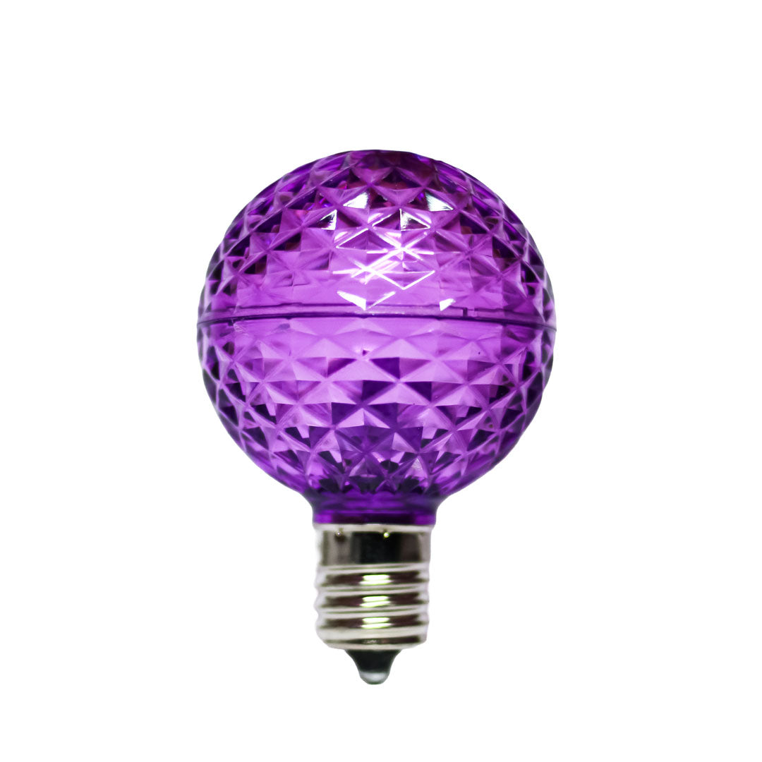 Holidynamics G50, S14 & Edison LED Bulbs