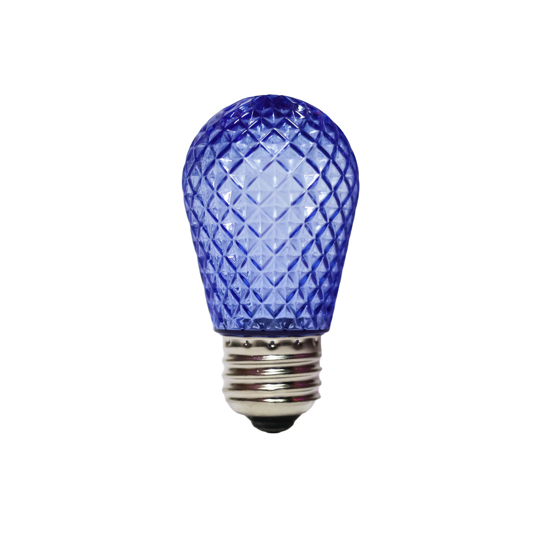 Holidynamics G50, S14 & Edison LED Bulbs