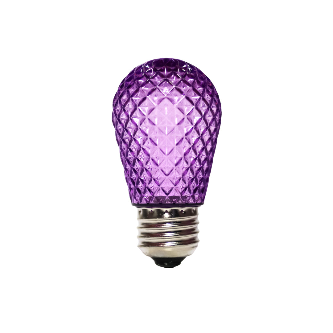 Holidynamics G50, S14 & Edison LED Bulbs