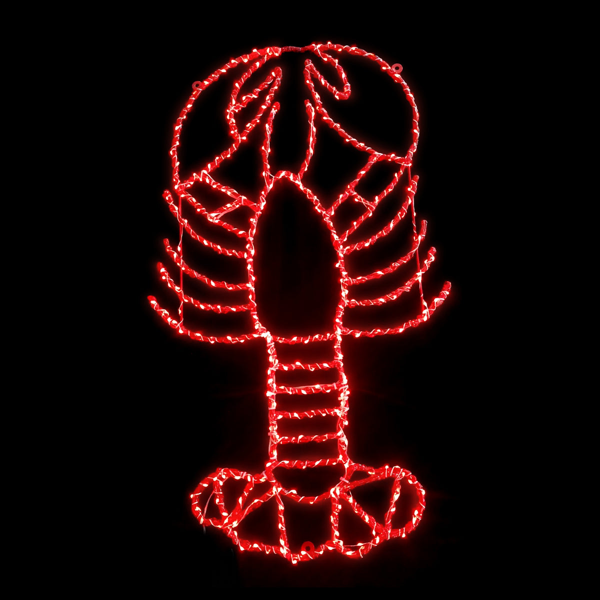 Holidynamics 2D Lighted Beach & Summer Displays