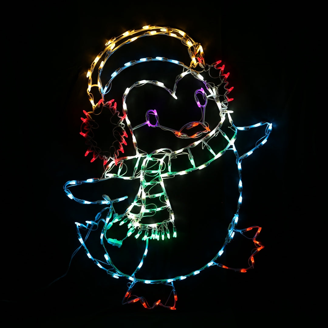 Holidynamics Lighted Christmas Characters