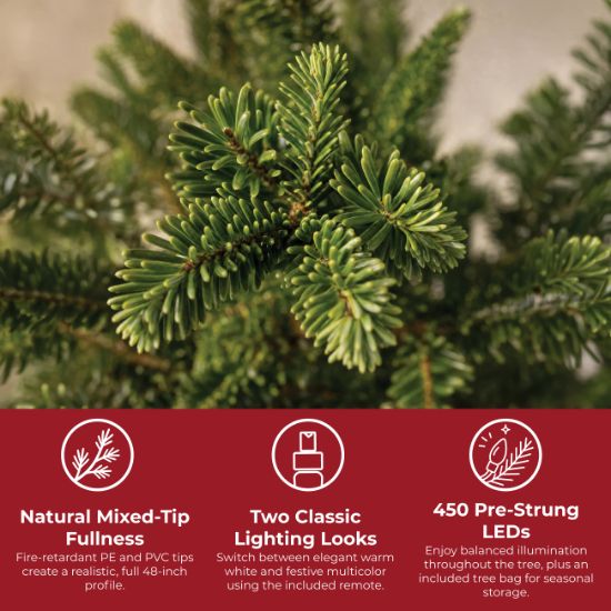 Holidynamics 7' Full LED Palmetto Pine LED