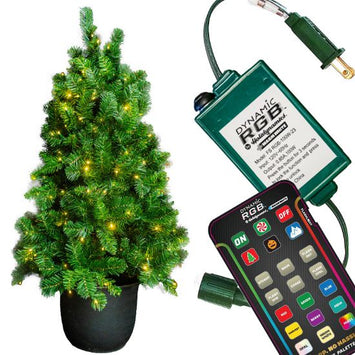 48" Oregon Potted Tree DRGBWW