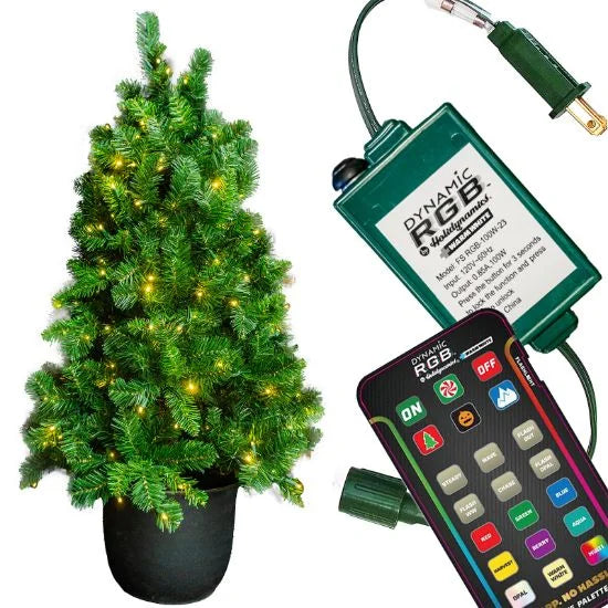 48" Oregon Potted Tree DRGBWW product image