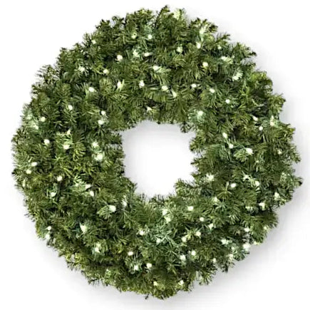 Green Christmas wreath with lights on a white background