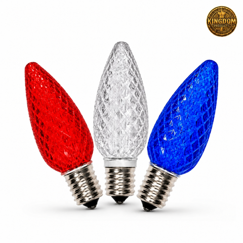 Sun warm white C9 LED bulb