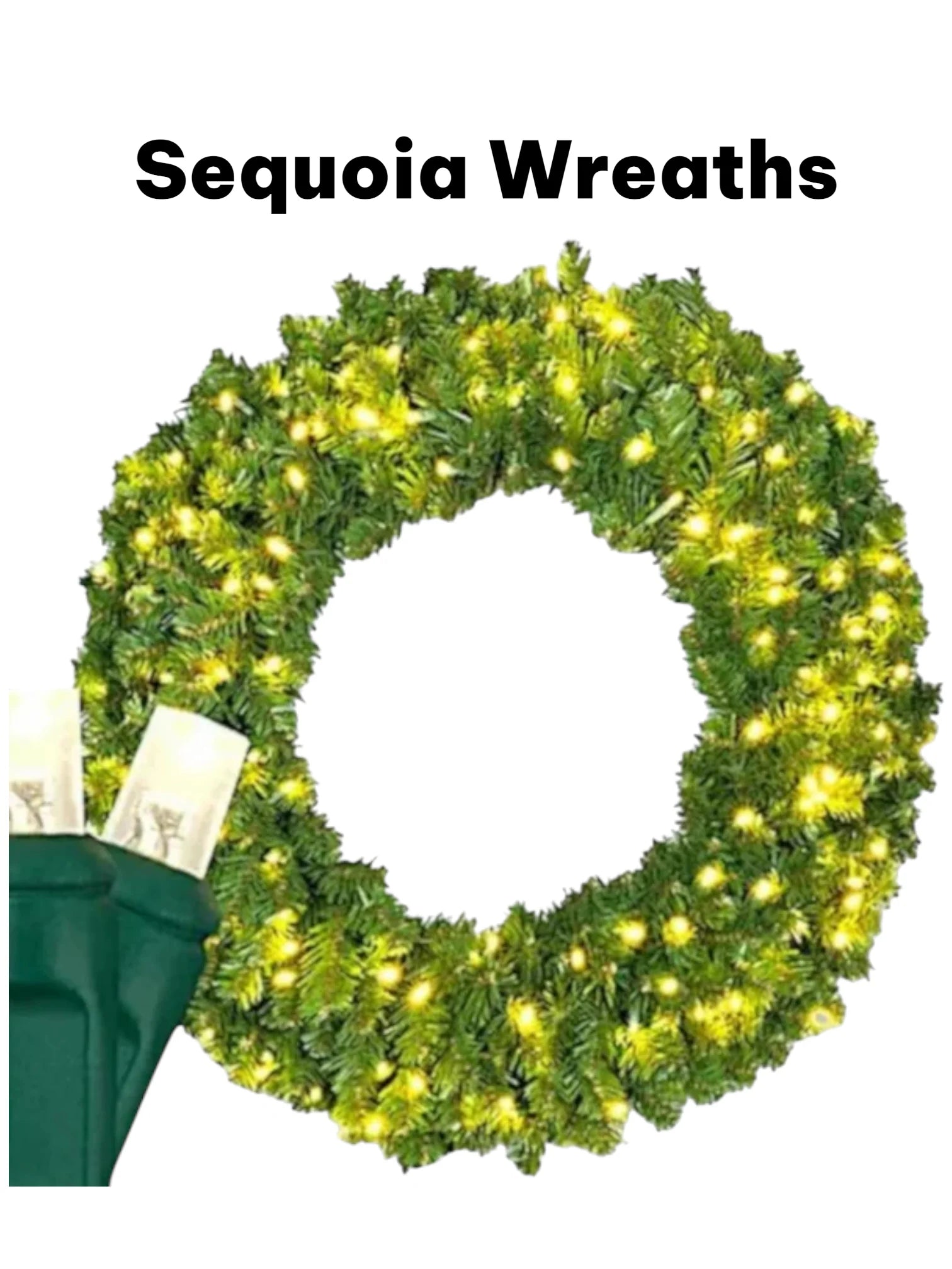 Pre-lit Sequoia Fir wreath