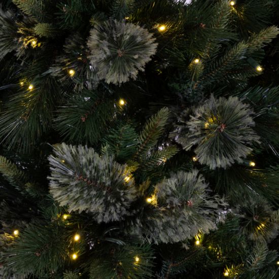 7.5' Dynamic RGBWW LED Scotch Pine FULL