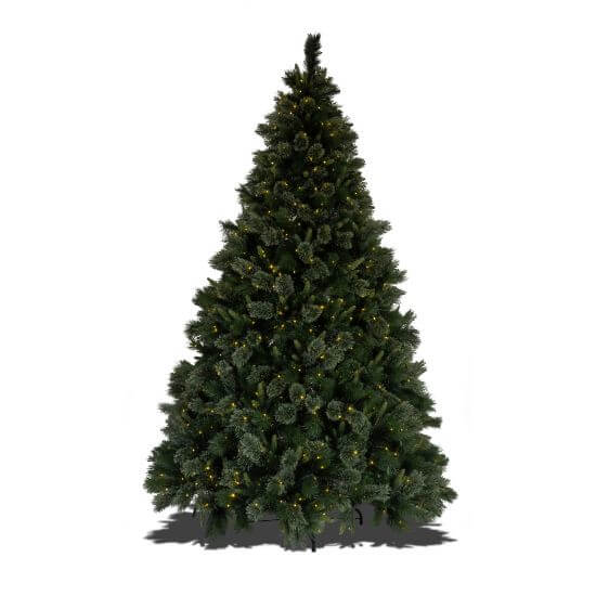 7.5' Dynamic RGBWW LED Scotch Pine FULL
