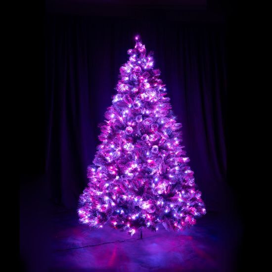7.5' Dynamic RGBWW LED Scotch Pine FULL