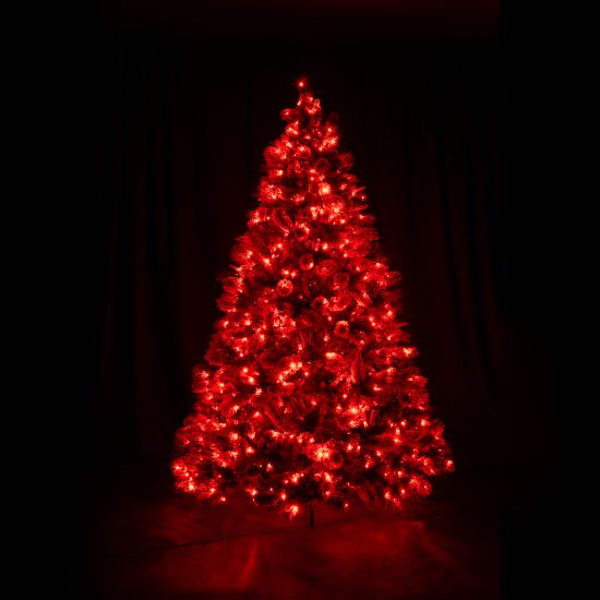 7.5' Dynamic RGBWW LED Scotch Pine FULL