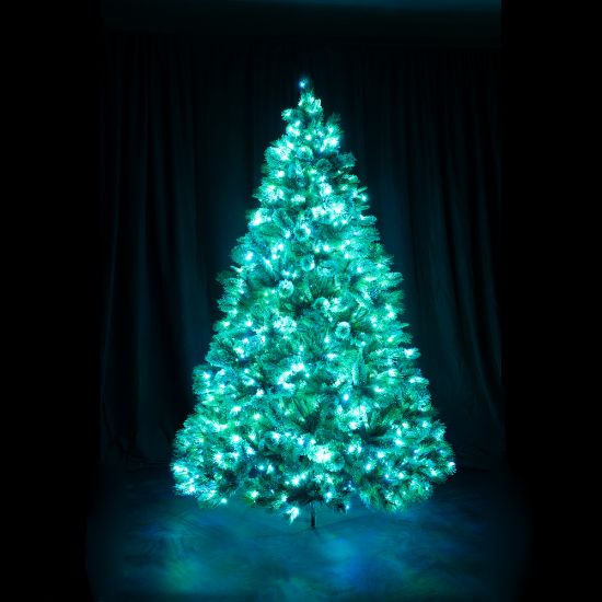 7.5' Dynamic RGBWW LED Scotch Pine FULL