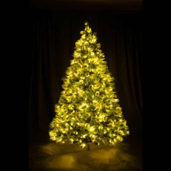 7.5' Dynamic RGBWW LED Scotch Pine FULL